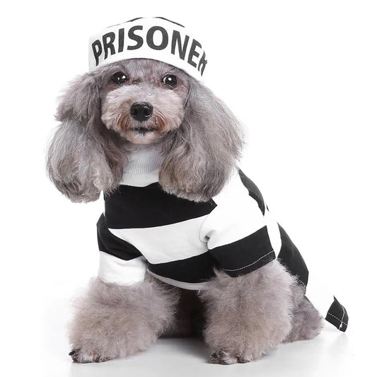 Funny Prisoner Costume-Dog's Halloween!