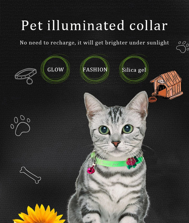 Glowing Dog Cat Collar Anti-Loss Fluorescent Silicone 
