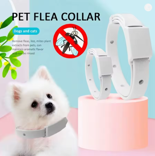 Anti Flea Tick Collar for Cat  Dog