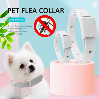 Anti Flea Tick Collar for Cat  Dog