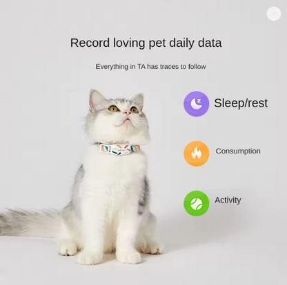 Pet's Smart Collar