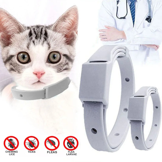 Anti Flea Tick Collar for Cat  Dog 