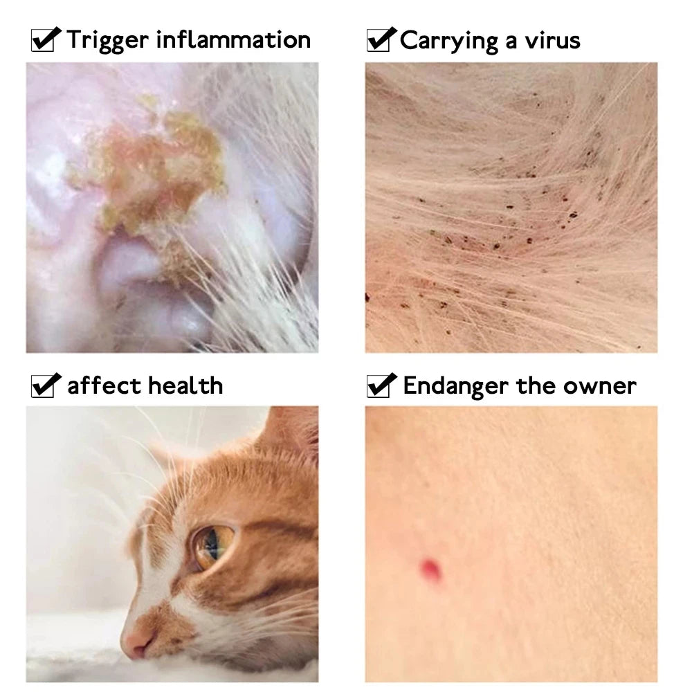 Anti Flea Tick Collar for Cat  Dog 
